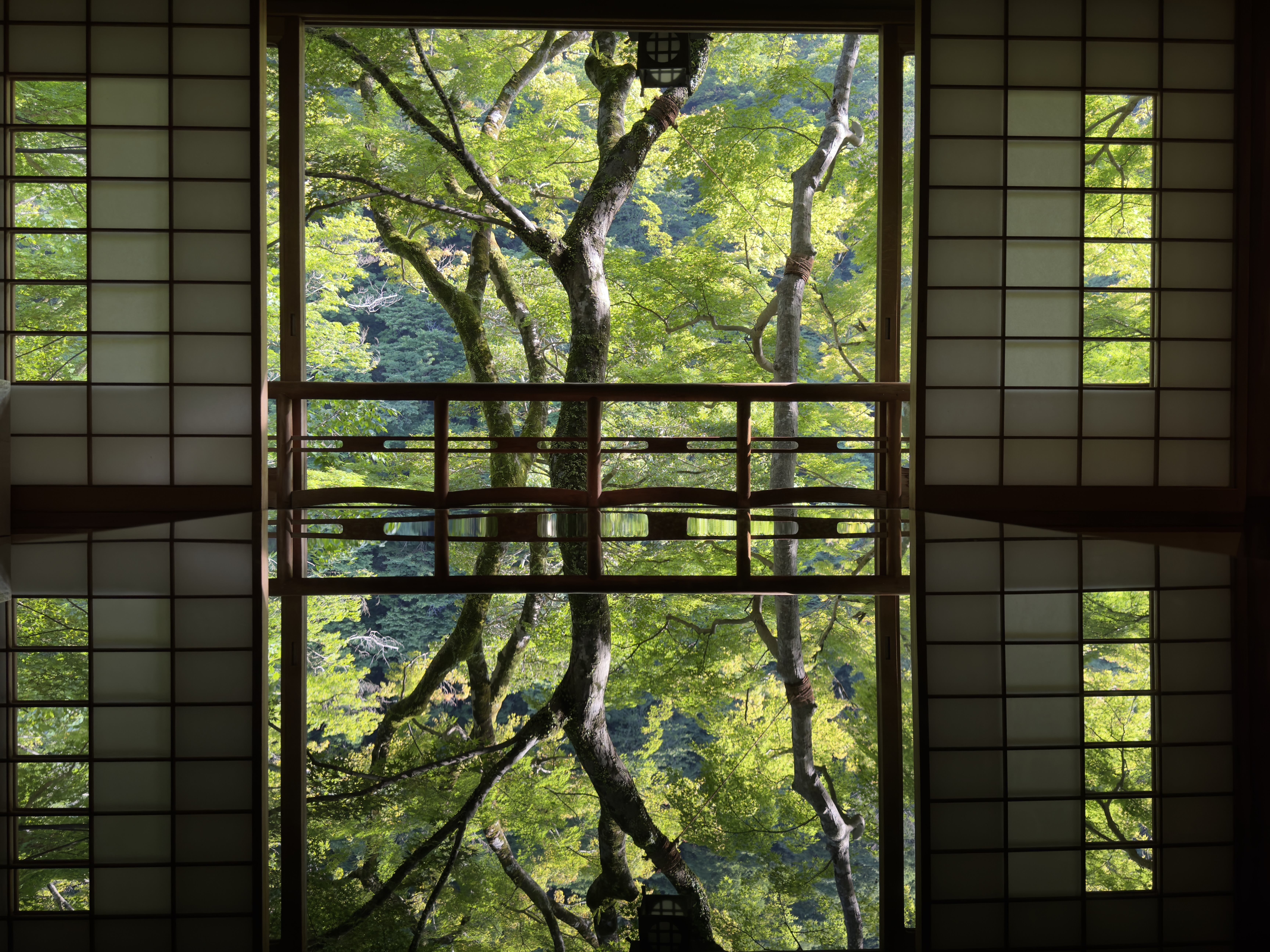 Water Mirror 4